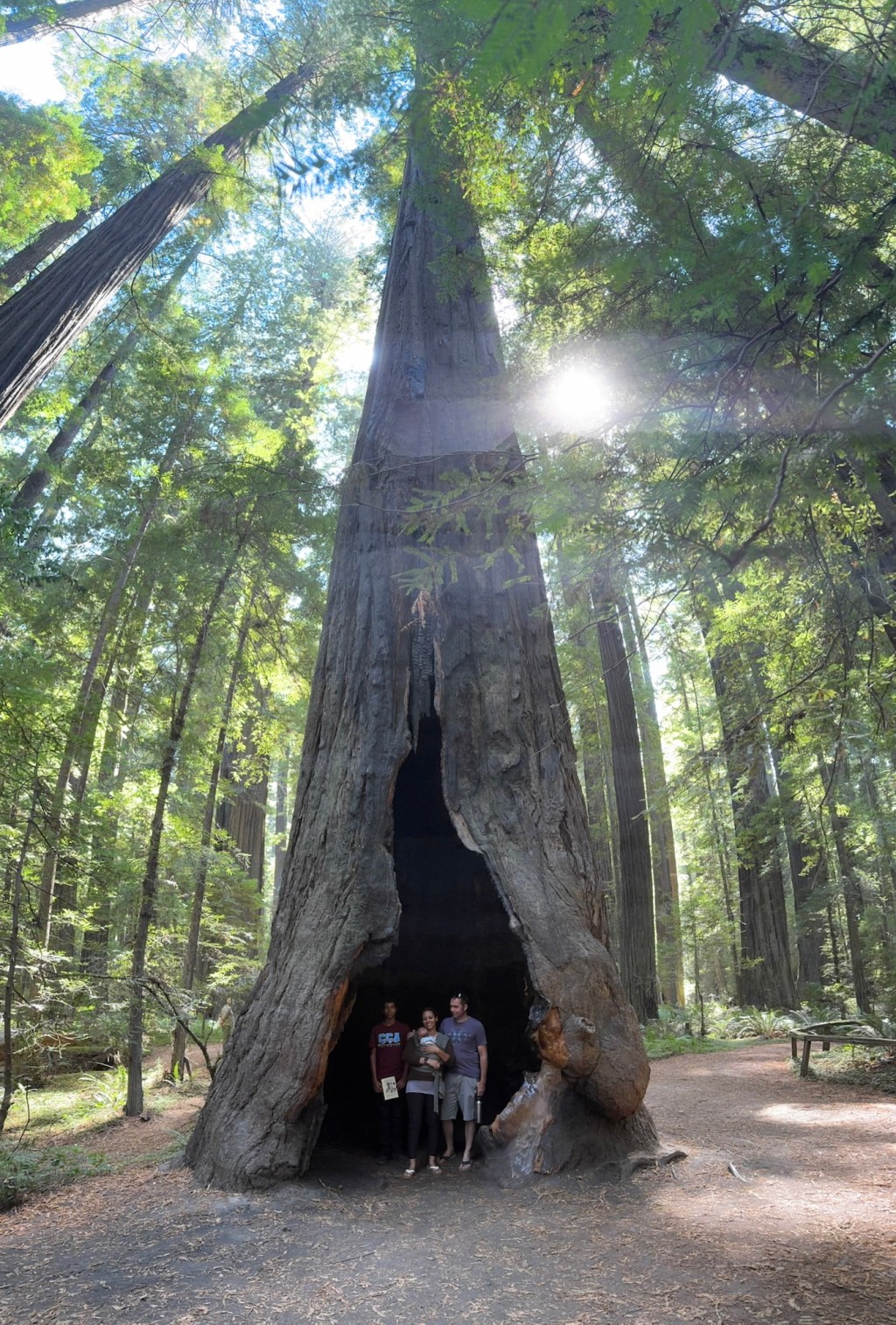 ✈️ Family Trip Packing Made&nbsp;Simple